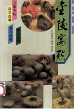 金陵宴点