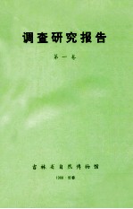 调查研究报告 第1卷