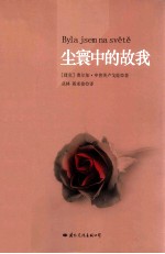 尘寰中的故我