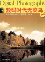 数码时代无菜鸟 数码后期修片从入门到精通 全新版
