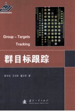 群目标跟踪