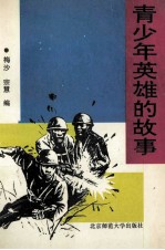 青少年英雄的故事