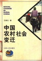 中国农村社会变迁