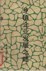 乡镇企业发展之路