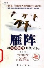 雁阵 用大雁精神训练团队