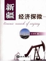 新疆经济探微