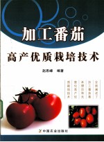 加工番茄高产优质栽培技术