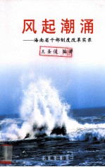 风起潮涌 海南省干部制度改革实录