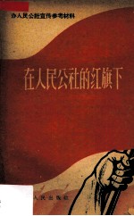 在人民公社的红旗下