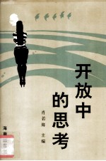 开放中的思考 海南青年研究论文选
