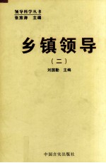 乡镇领导 2