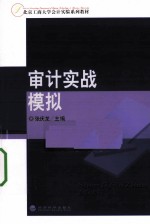 审计实践模拟