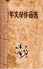 青年文学作品选