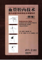血管腔内技术 腔内血管外科的导丝及导管技术 原书第2版