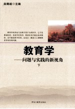 教育学 问题与实践的新视角 下