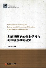 多维视野下的创业学习与创业绩效机制研究