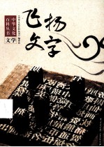 中华文化百科丛书 飞扬文学 文学