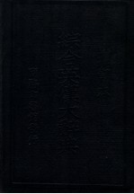 增订综合英汉大辞典