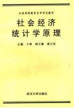 社会经济统计学原理