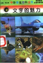 文字的魅力