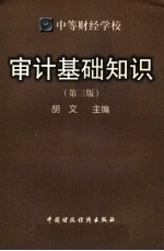 审计基础知识 第3版