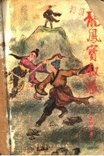 龙凤宝钗缘 1