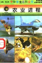农业进程