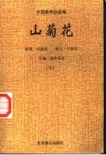 山菊花 下