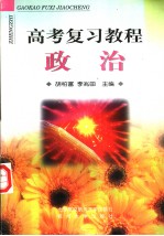 高考复习教程 政治