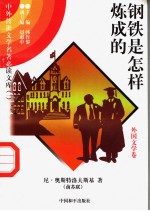钢铁是怎样炼成的 4