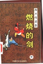 燃烧的剑 中