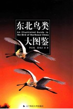 东北鸟类大图鉴