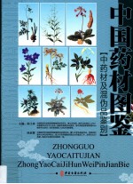 中国药材图鉴 中药材及混伪品鉴别 第1卷