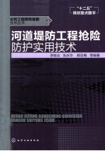 河道堤防工程抢险实用技术