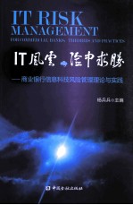 IT风云，险中求胜 商业银行信息科技风险管理理论与实践