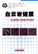 白云岩储层 白云岩成因与分布地球化学分析技术