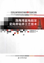 渤海湾盆地超深定向井钻井工艺技术 中国石油风险探井新港1井钻探实践