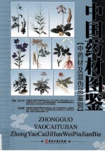 中国药材图鉴 中药材及混伪品鉴别 第4卷