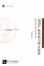 知识产权侵权与停止侵害