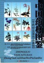 中国药材图鉴 中药材及混伪品鉴别 第3卷