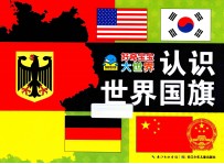 好奇宝宝大世界 认识世界国旗