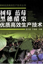 树莓、蓝莓、黑穗醋栗优质高效生产技术