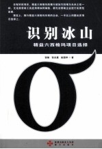 识别冰山 精益六西格玛项目选择
