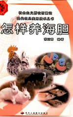 怎样养海胆
