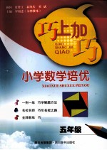 巧上加巧 小学数学培优 五年级