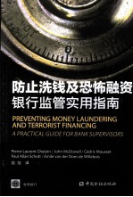 防止洗钱及恐怖融资 银行监管实用提南