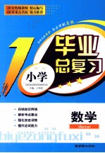 小学毕业总复习 数学