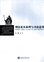 刑法基本原理与司法适用