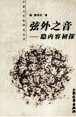弦外之音 隐内容初探