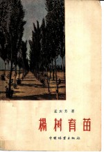 杨树育苗